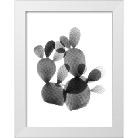 Cactus Bunch White Modern Wood Framed Art Print by Koetsier, Albert