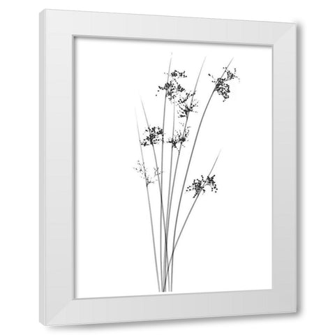 Sky Reachers White Modern Wood Framed Art Print by Koetsier, Albert