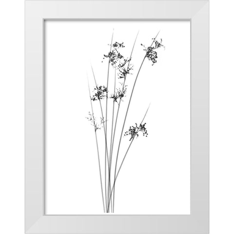 Sky Reachers White Modern Wood Framed Art Print by Koetsier, Albert