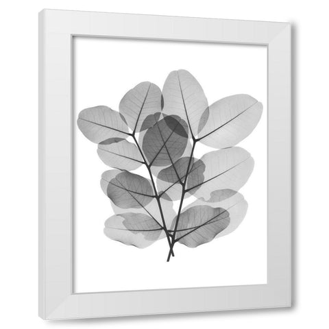 Leafy Bunch White Modern Wood Framed Art Print by Koetsier, Albert