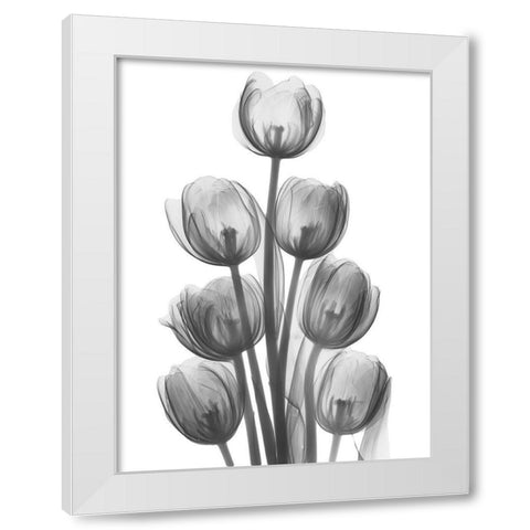 Tulips H26 White Modern Wood Framed Art Print by Koetsier, Albert