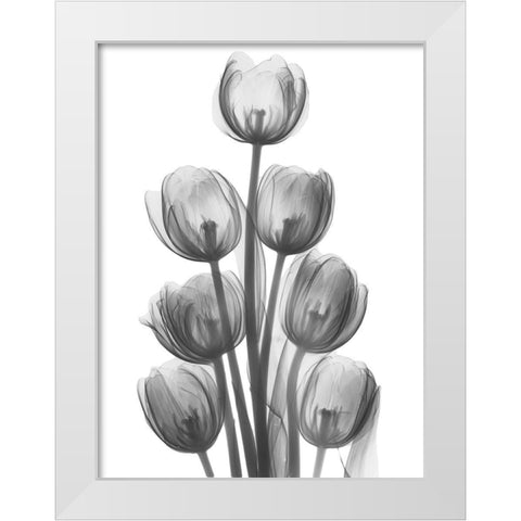 Tulips H26 White Modern Wood Framed Art Print by Koetsier, Albert