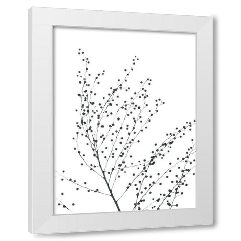 Pretty And Delicate White Modern Wood Framed Art Print by Koetsier, Albert