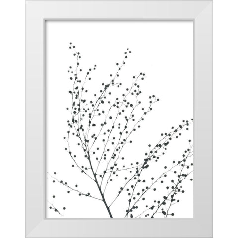 Pretty And Delicate White Modern Wood Framed Art Print by Koetsier, Albert