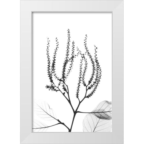 Reaching Branches White Modern Wood Framed Art Print by Koetsier, Albert