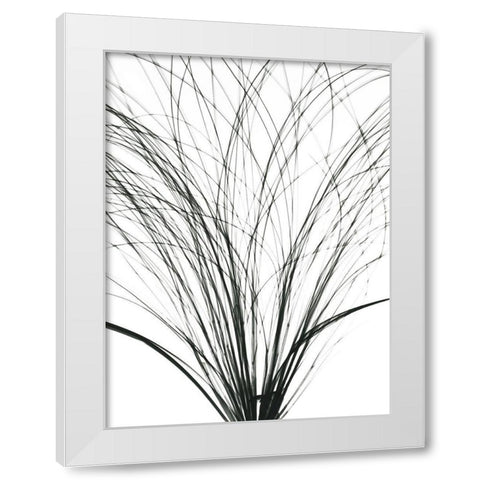 Frayed Soul White Modern Wood Framed Art Print by Koetsier, Albert