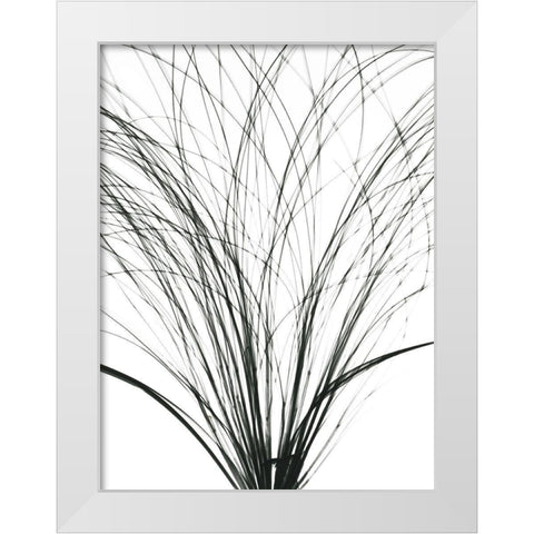 Frayed Soul White Modern Wood Framed Art Print by Koetsier, Albert