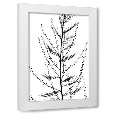 Accasia White Modern Wood Framed Art Print by Koetsier, Albert