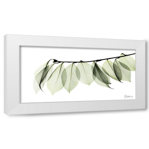 Camelia Leaf In White White Modern Wood Framed Art Print by Koetsier, Albert