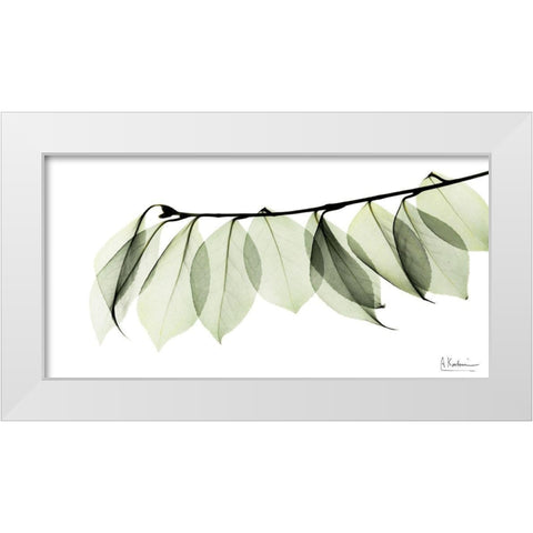 Camelia Leaf In White White Modern Wood Framed Art Print by Koetsier, Albert