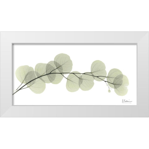 Eucalyptus L196 White Modern Wood Framed Art Print by Koetsier, Albert