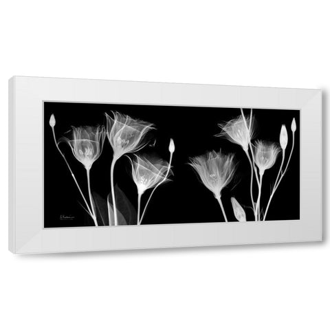 BW Gentian White Modern Wood Framed Art Print by Koetsier, Albert