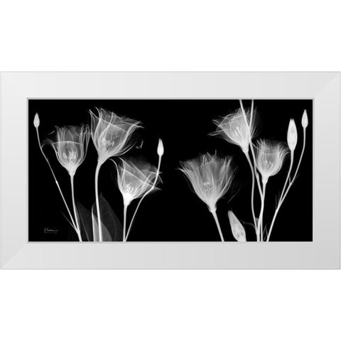 BW Gentian White Modern Wood Framed Art Print by Koetsier, Albert