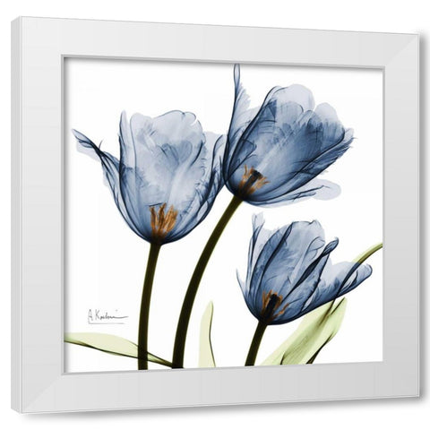 New Blue Tulips C54 White Modern Wood Framed Art Print by Koetsier, Albert