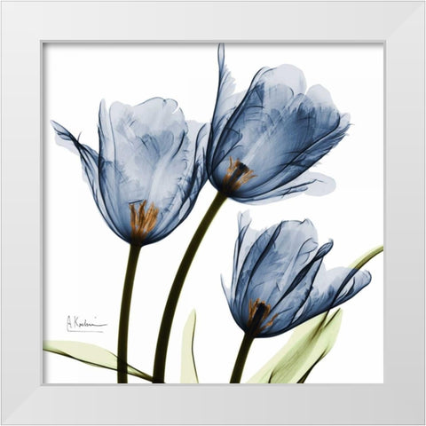 New Blue Tulips C54 White Modern Wood Framed Art Print by Koetsier, Albert