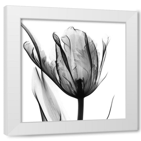 High Contrast Tulip White Modern Wood Framed Art Print by Koetsier, Albert