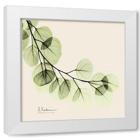 Eucalyptus White Modern Wood Framed Art Print by Koetsier, Albert