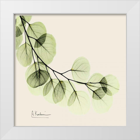 Eucalyptus White Modern Wood Framed Art Print by Koetsier, Albert