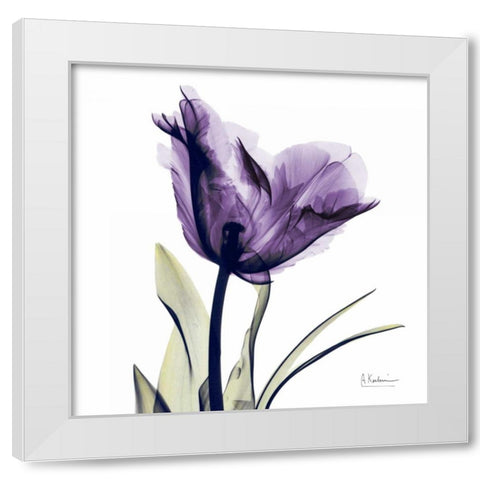 Tulip Dream White Modern Wood Framed Art Print by Koetsier, Albert