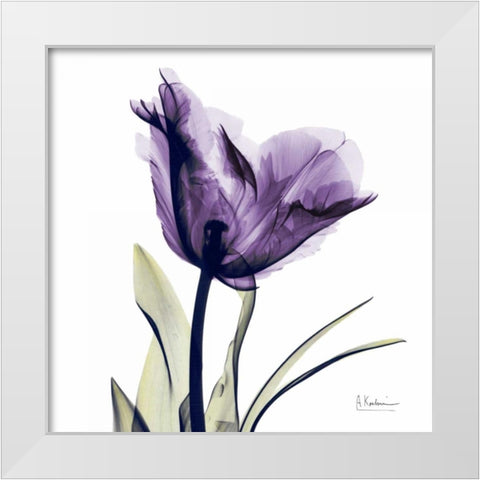 Tulip Dream White Modern Wood Framed Art Print by Koetsier, Albert