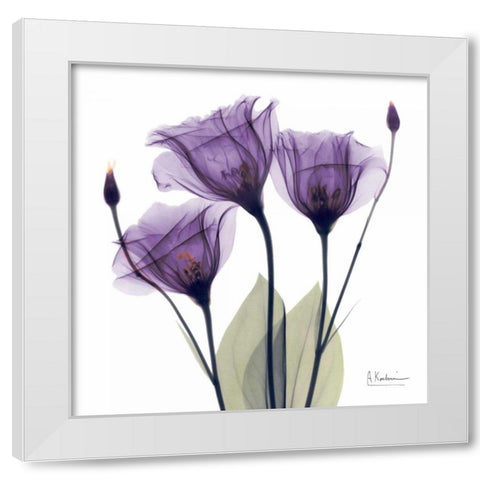 Gentian Hope White Modern Wood Framed Art Print by Koetsier, Albert