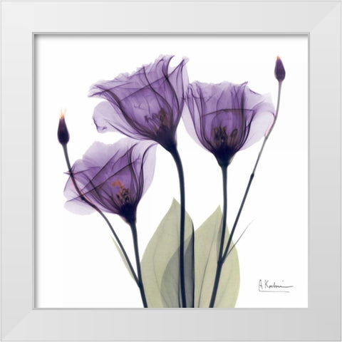 Gentian Hope White Modern Wood Framed Art Print by Koetsier, Albert