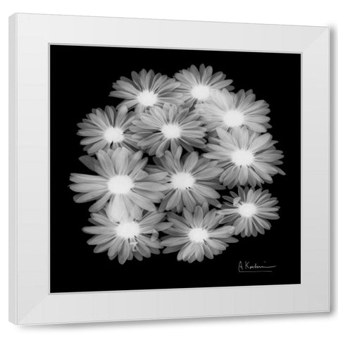 Margarithe X-Ray White Modern Wood Framed Art Print by Koetsier, Albert