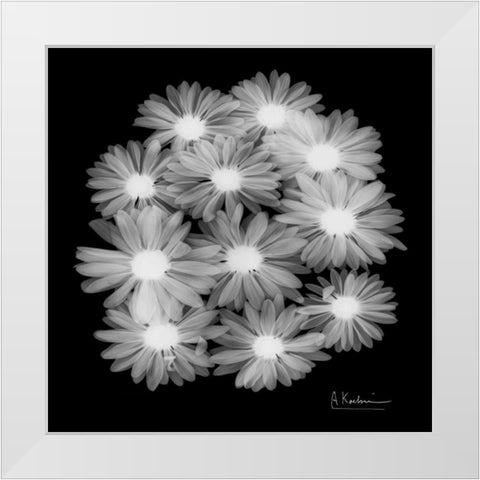 Margarithe X-Ray White Modern Wood Framed Art Print by Koetsier, Albert