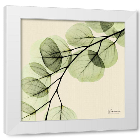 Mint Eucalyptus 1 White Modern Wood Framed Art Print by Koetsier, Albert