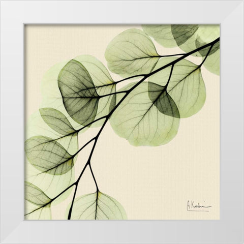 Mint Eucalyptus 1 White Modern Wood Framed Art Print by Koetsier, Albert