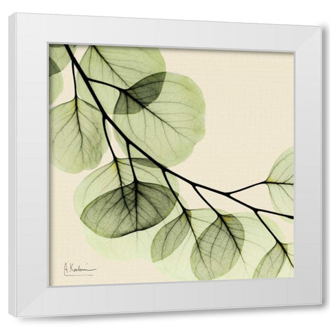 Mint Eucalyptus 2 White Modern Wood Framed Art Print by Koetsier, Albert