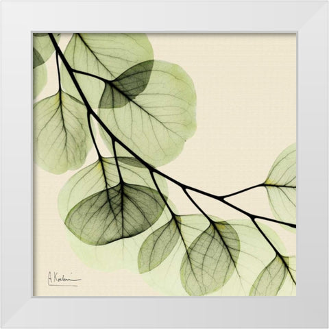 Mint Eucalyptus 2 White Modern Wood Framed Art Print by Koetsier, Albert