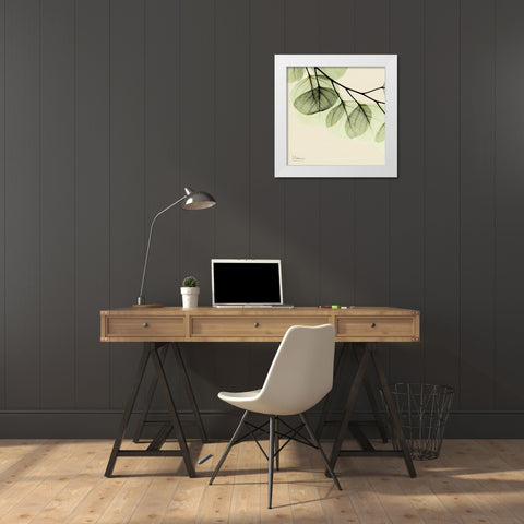 Mint Eucalyptus 3 White Modern Wood Framed Art Print by Koetsier, Albert