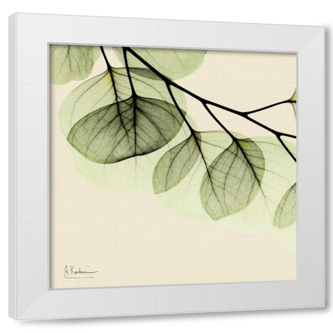 Mint Eucalyptus 3 White Modern Wood Framed Art Print by Koetsier, Albert