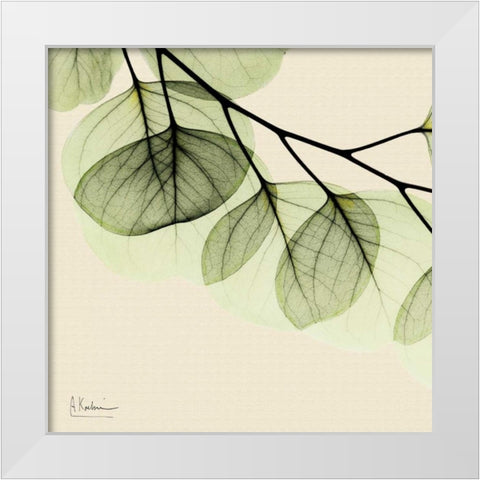 Mint Eucalyptus 3 White Modern Wood Framed Art Print by Koetsier, Albert