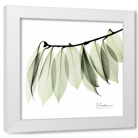 Camelia Leaf In White White Modern Wood Framed Art Print by Koetsier, Albert