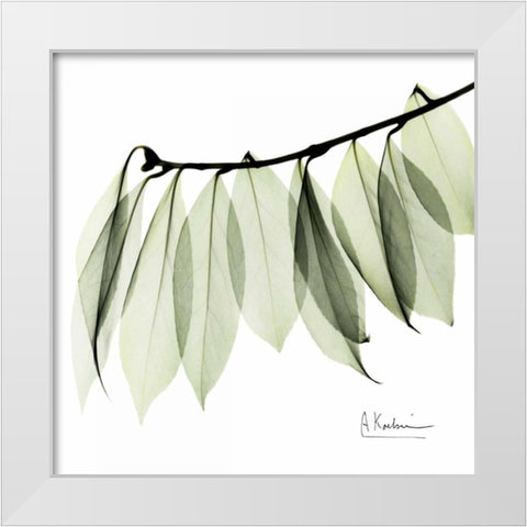 Camelia Leaf In White White Modern Wood Framed Art Print by Koetsier, Albert