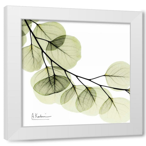 Mint Eucalyptus 2 White Modern Wood Framed Art Print by Koetsier, Albert