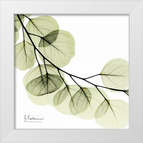 Mint Eucalyptus 2 White Modern Wood Framed Art Print by Koetsier, Albert