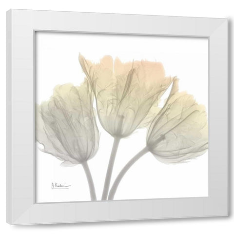 Sunday Morning Tulips White Modern Wood Framed Art Print by Koetsier, Albert