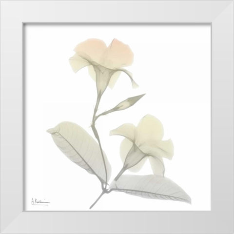 Sunday Morning Mandelilla White Modern Wood Framed Art Print by Koetsier, Albert
