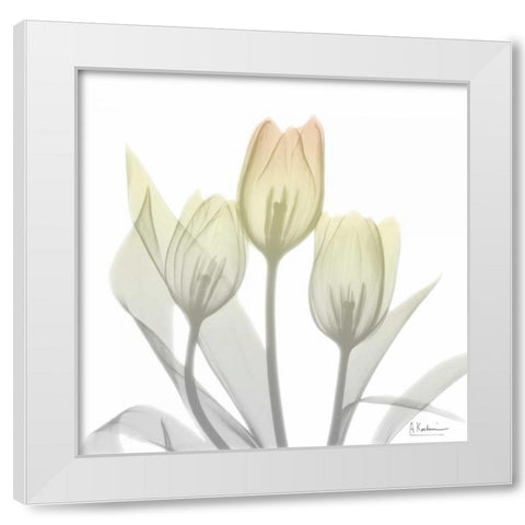 Sunday Morning Tulips Two White Modern Wood Framed Art Print by Koetsier, Albert