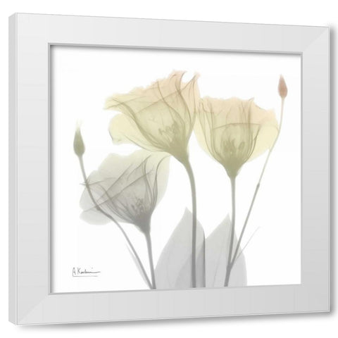 Sunday Morning Gentian White Modern Wood Framed Art Print by Koetsier, Albert