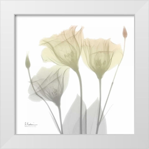 Sunday Morning Gentian White Modern Wood Framed Art Print by Koetsier, Albert