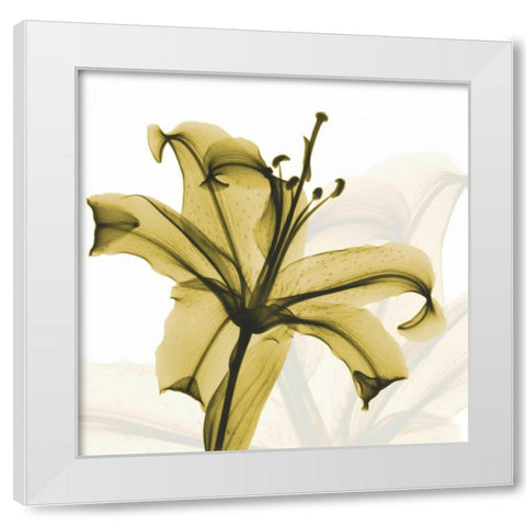 A Golden Lily White Modern Wood Framed Art Print by Koetsier, Albert