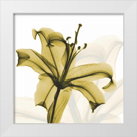 A Golden Lily White Modern Wood Framed Art Print by Koetsier, Albert