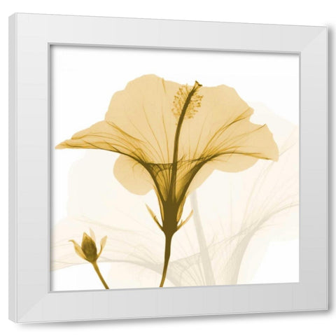 Orange Hibiscus Wave White Modern Wood Framed Art Print by Koetsier, Albert