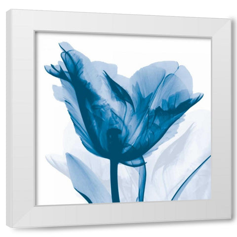 Lusty Blue Tulip White Modern Wood Framed Art Print by Koetsier, Albert