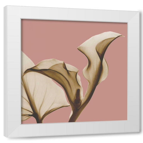 Luster Callaqua White Modern Wood Framed Art Print by Koetsier, Albert