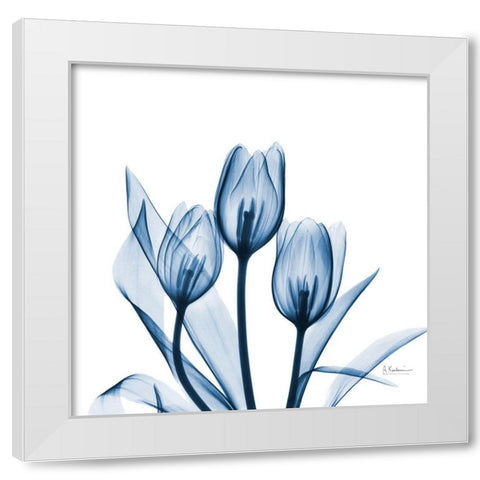 Tulips Indigo White Modern Wood Framed Art Print by Koetsier, Albert